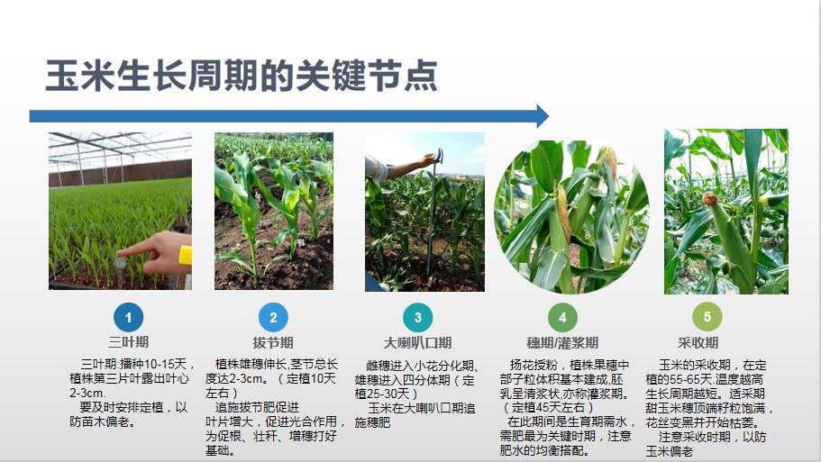 1626405759971335.jpg ia_100001021.jpg