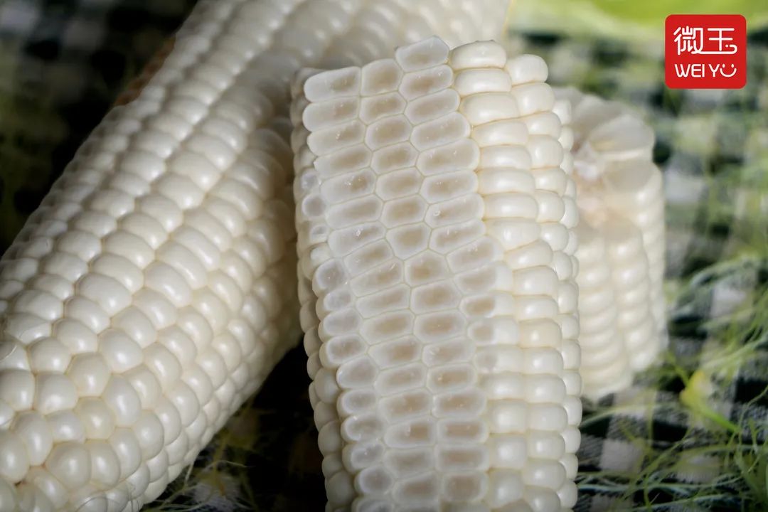 1626405869270630.jpg ia_100001025.jpg