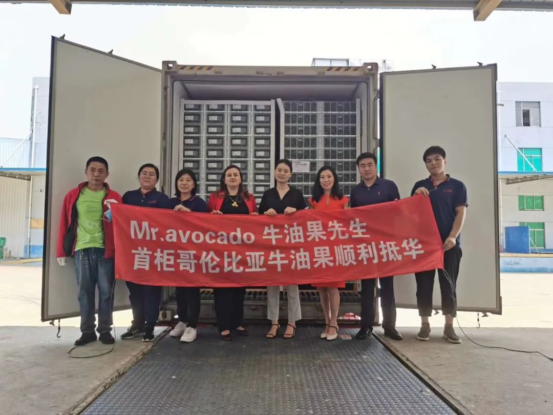 1626410800678807.jpg ia_700000005.jpg