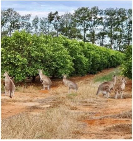 1626681545920310.jpg ia_900000800.jpg