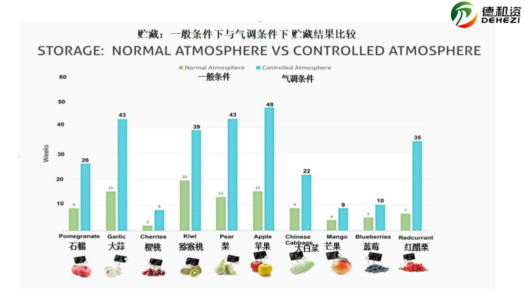 1628058213342127.png ia_500000004.png