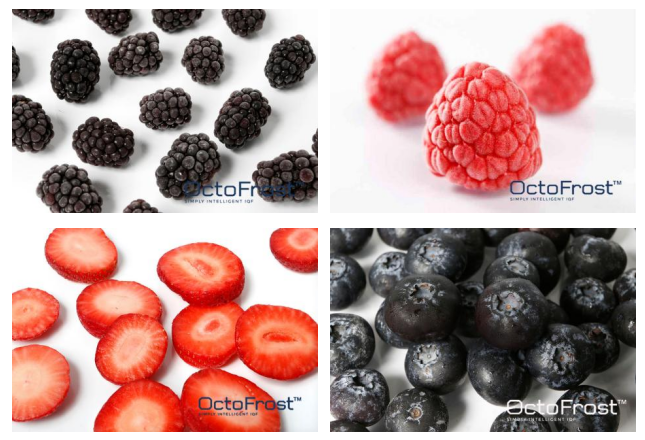 1628576050905250.png ia_400000008.png