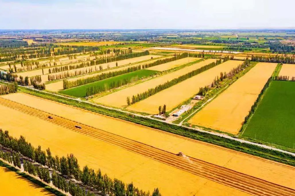 1628662268455873.jpg ia_600000024.jpg