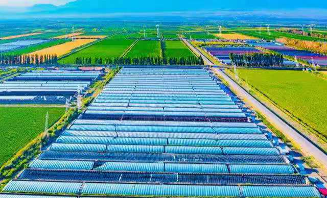 1628662279741922.png ia_600000023.png