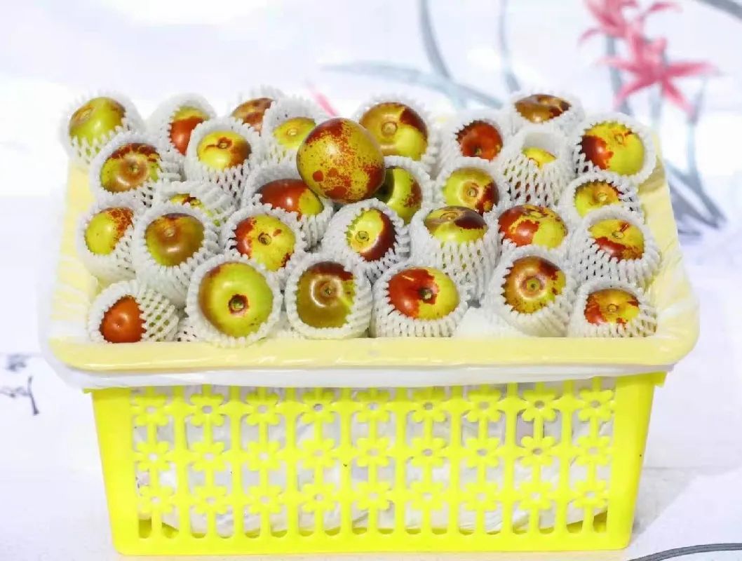 1628662402700246.jpg ia_600000015.jpg