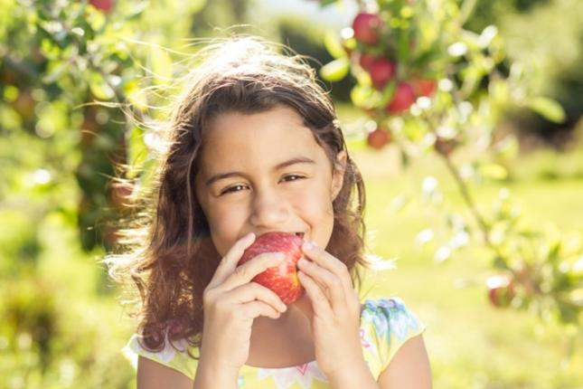 1629095445500210.png ia_400000002 (1).png