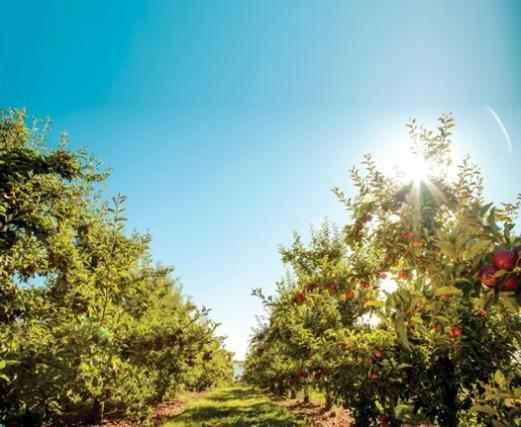 1629095531263385.png ia_400000677.png