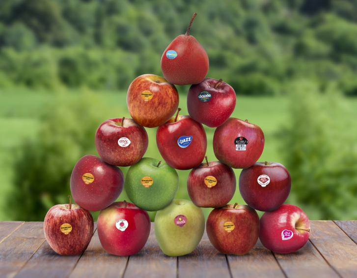 1629095551359526.png ia_400000680.png