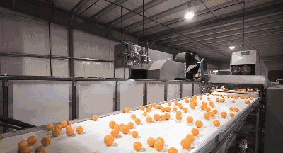 1629339188972344.gif ia_200000014 (1).gif