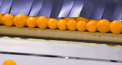 1629339271626384.gif ia_200000018.gif