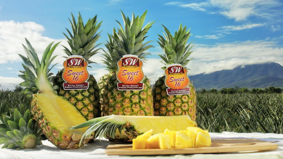 1629435349112794.png ia_100000005.png