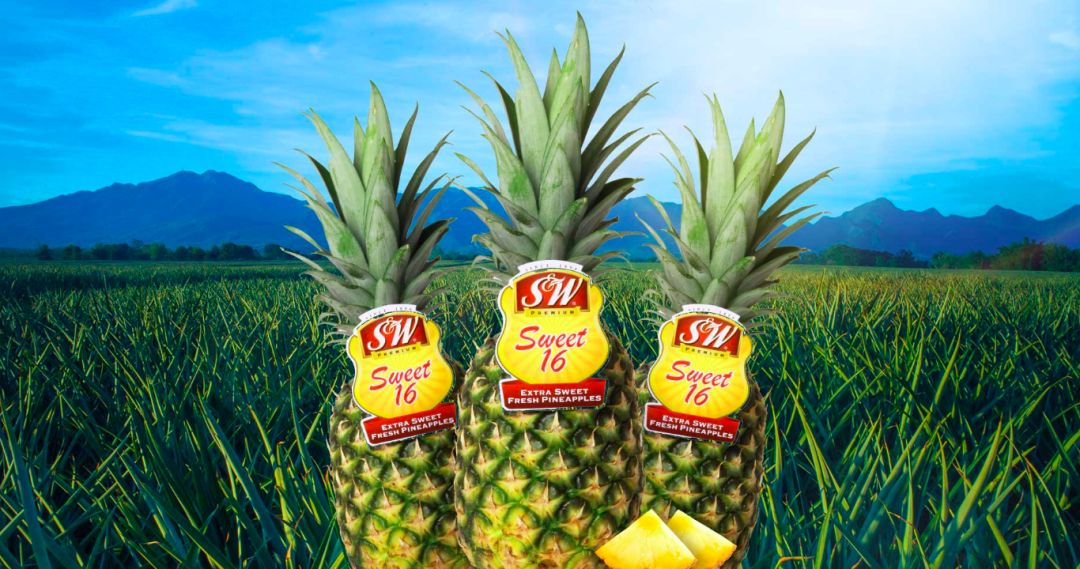 1629435510566280.jpg ia_100000720.jpg