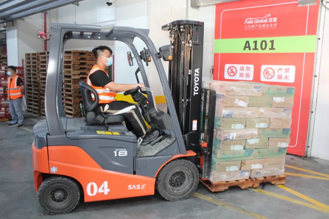 1629703710237978.jpg ia_200000003.jpg