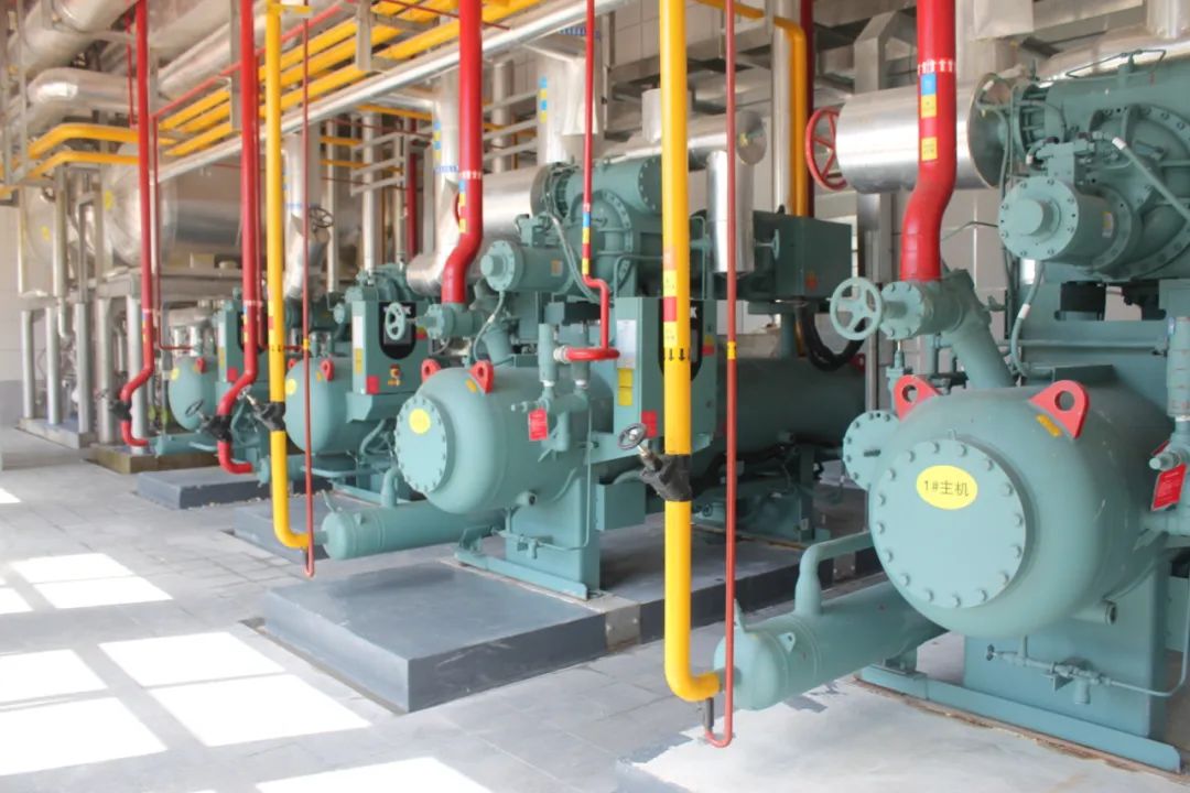 1629703721348901.jpg ia_200000004.jpg