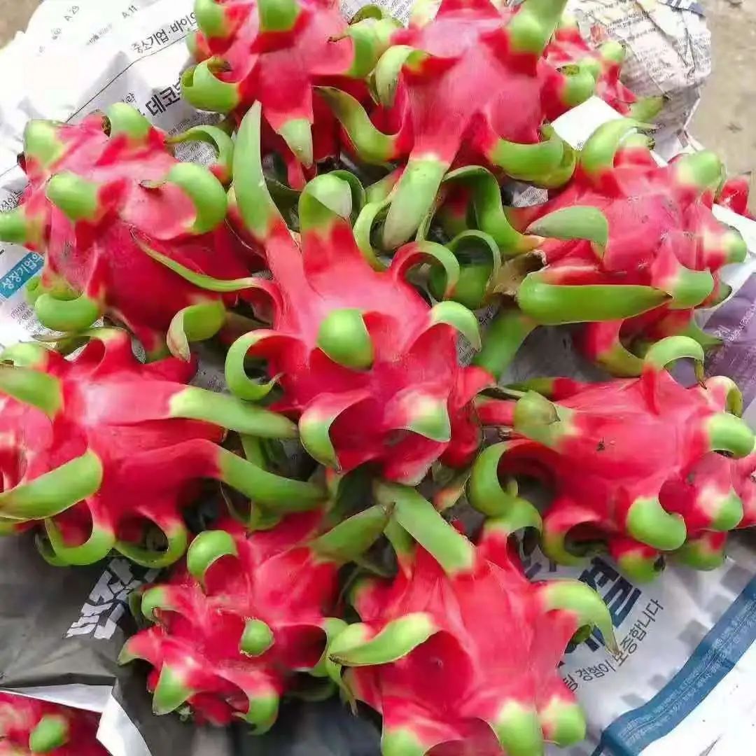 1629705103853255.jpg ia_400000471.jpg