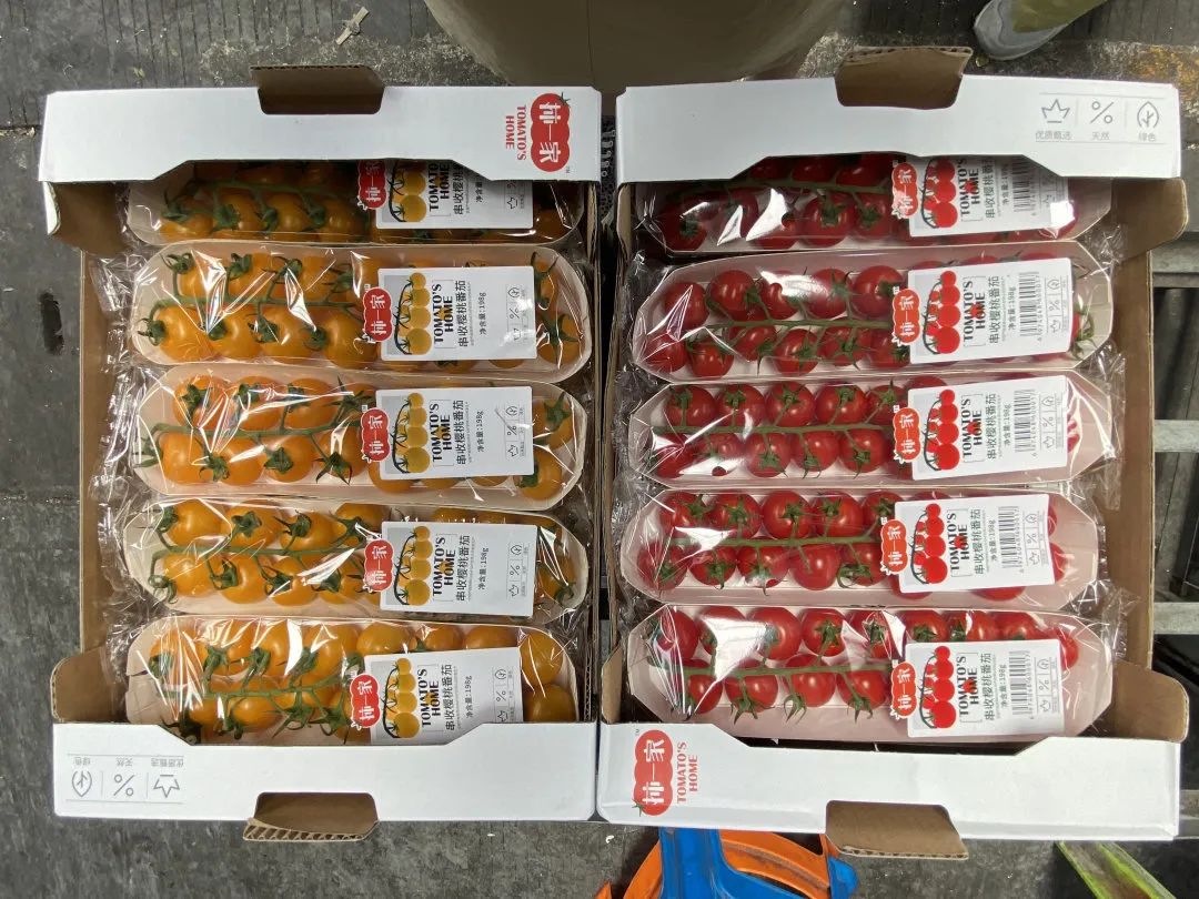 1629705197122155.jpg ia_400000010.jpg