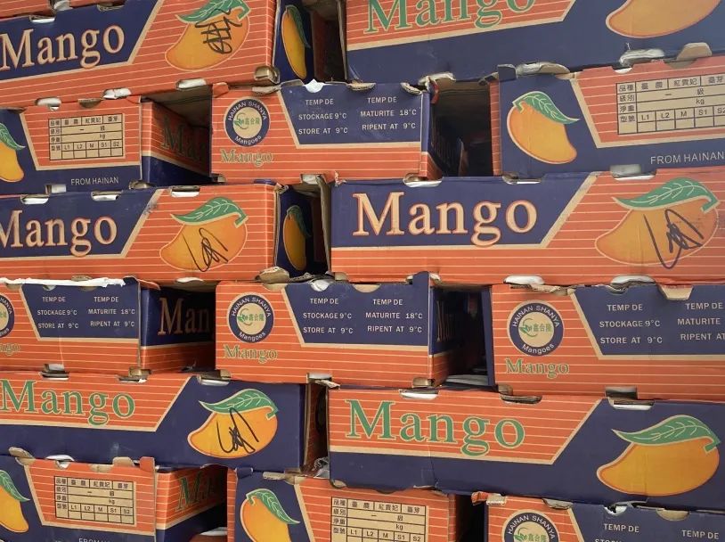 1629705208409377.jpg ia_400000476.jpg