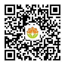 1630042028953397.jpg ia_100000763.jpg