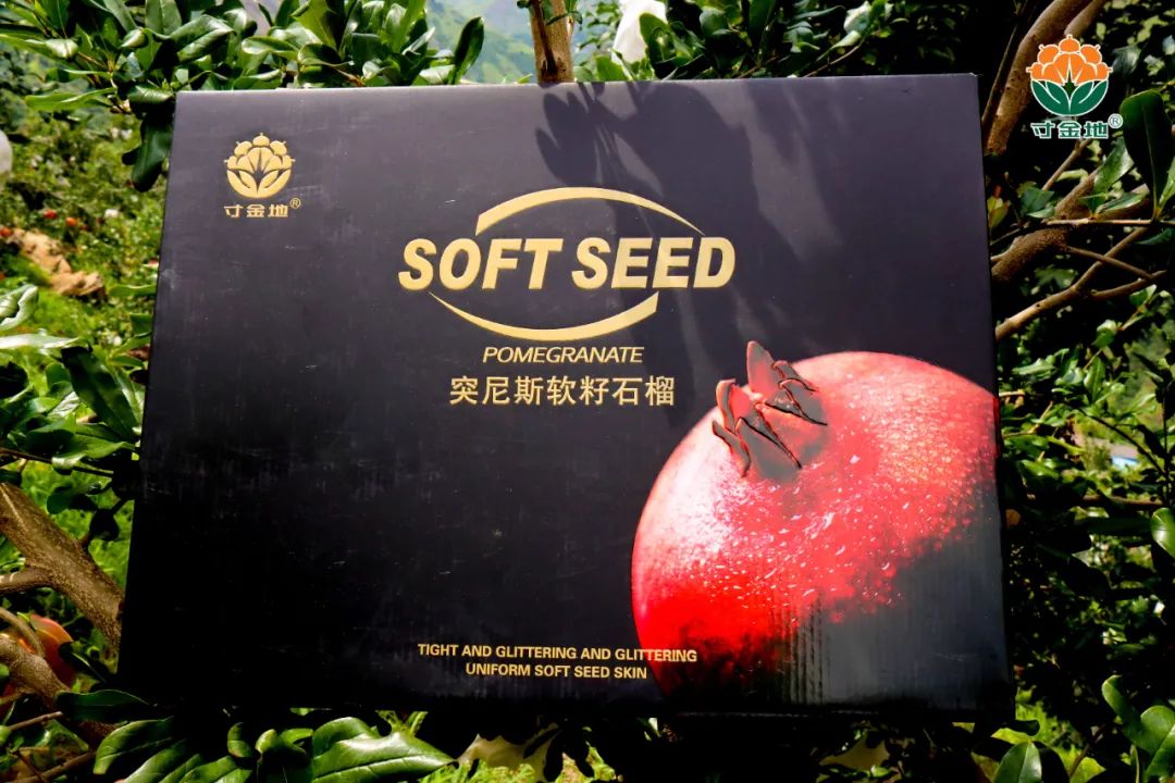 1630042131703059.jpg ia_100000756.jpg