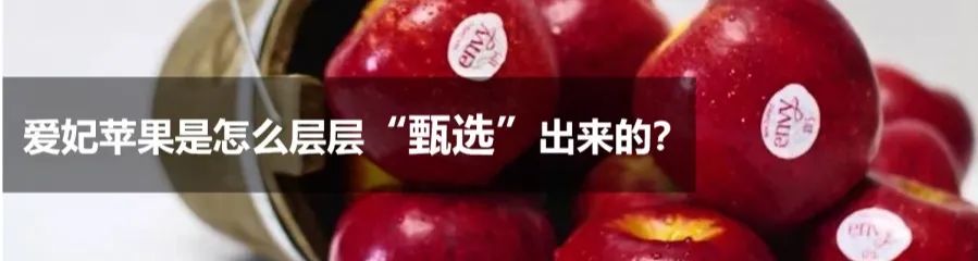 1630044278597634.jpg ia_200000007.jpg