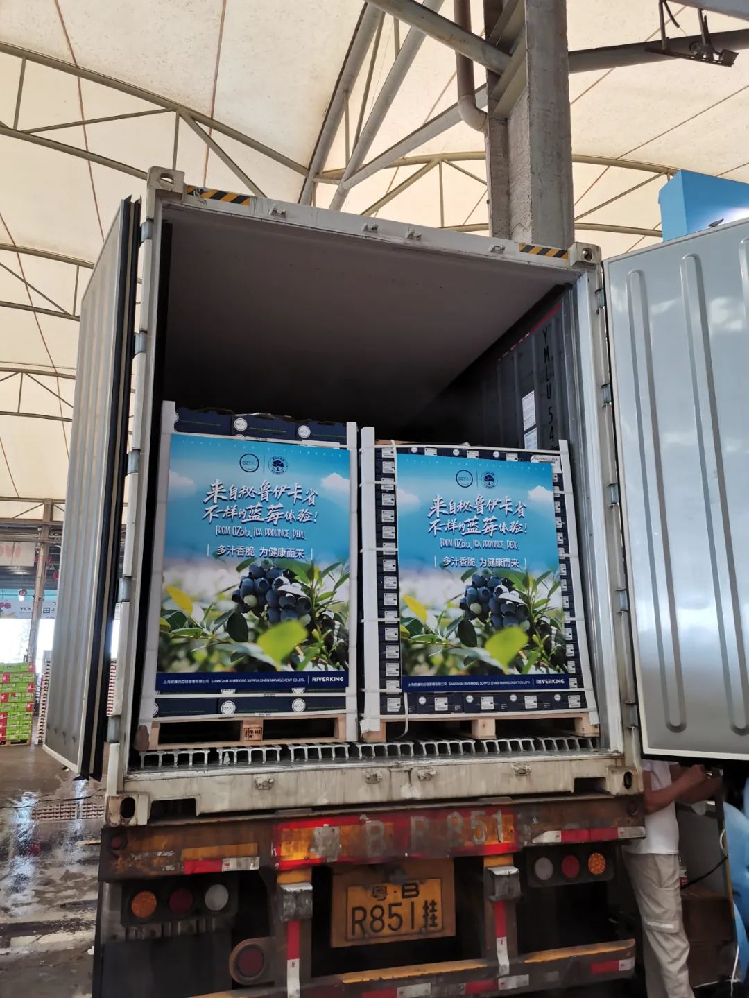 1630046682461646.jpg ia_400000653.jpg