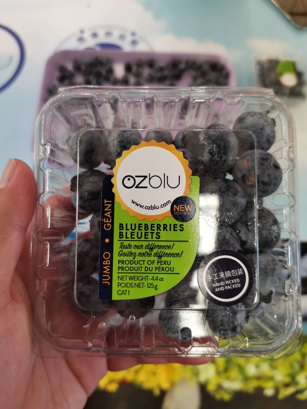 1630046708475586.jpg ia_400000654.jpg