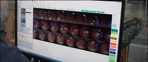 1630400941230647.gif ia_600000017.gif