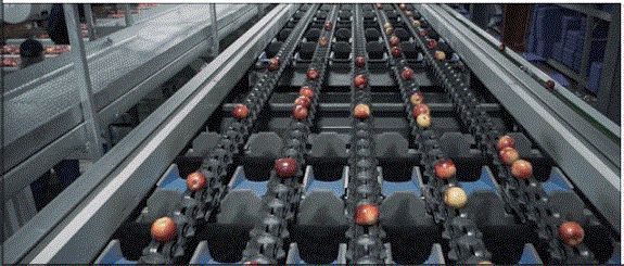 1630400989283066.gif ia_600000018.gif