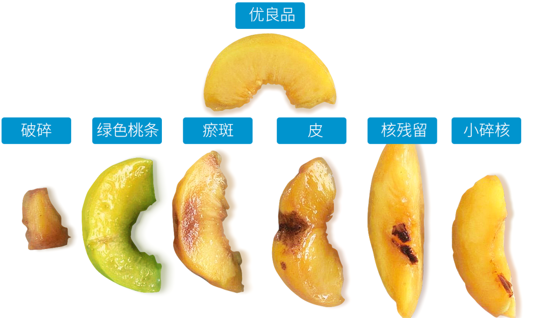 1630574226619048.png ia_300000899.png