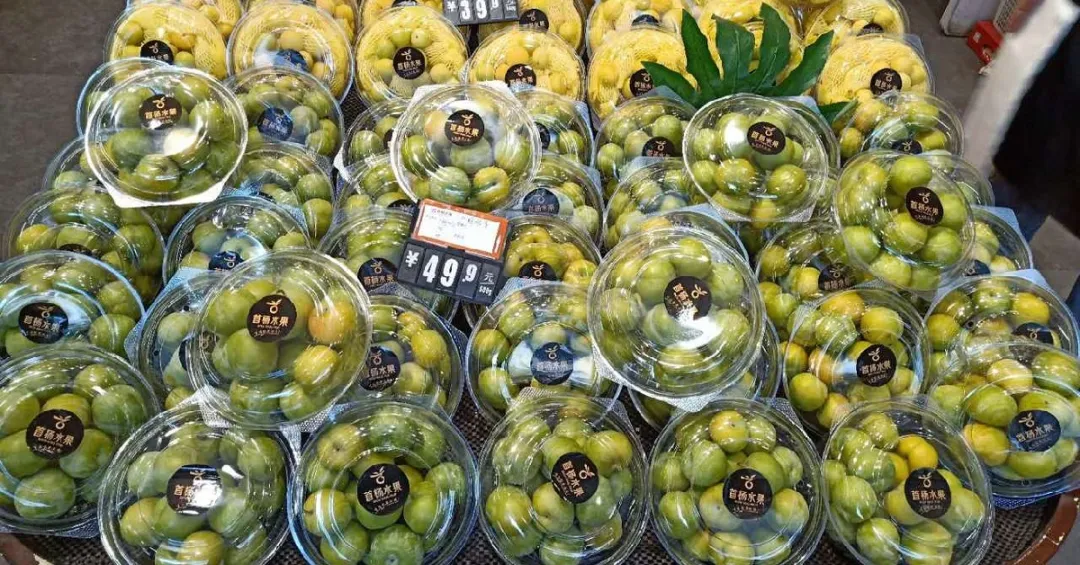 1631251670232980.png ia_200000004.png