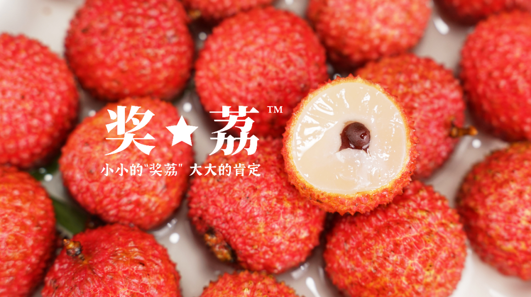 1631251732382746.png ia_200000680.png