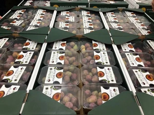 1631254369711121.jpg ia_100000481.jpg