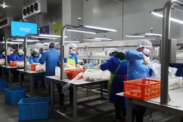 1631254382248351.jpg ia_100000004.jpg