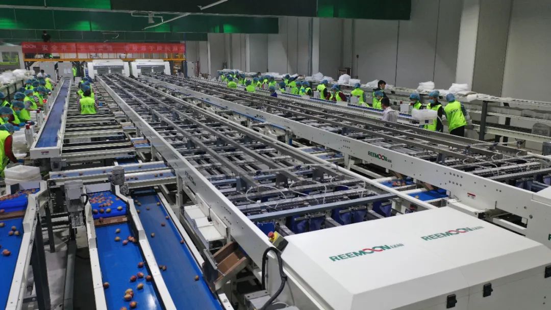 1631587934217234.jpg ia_100000467.jpg