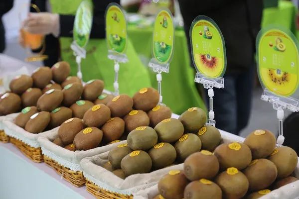 1631591120149533.jpg ia_500000003.jpg