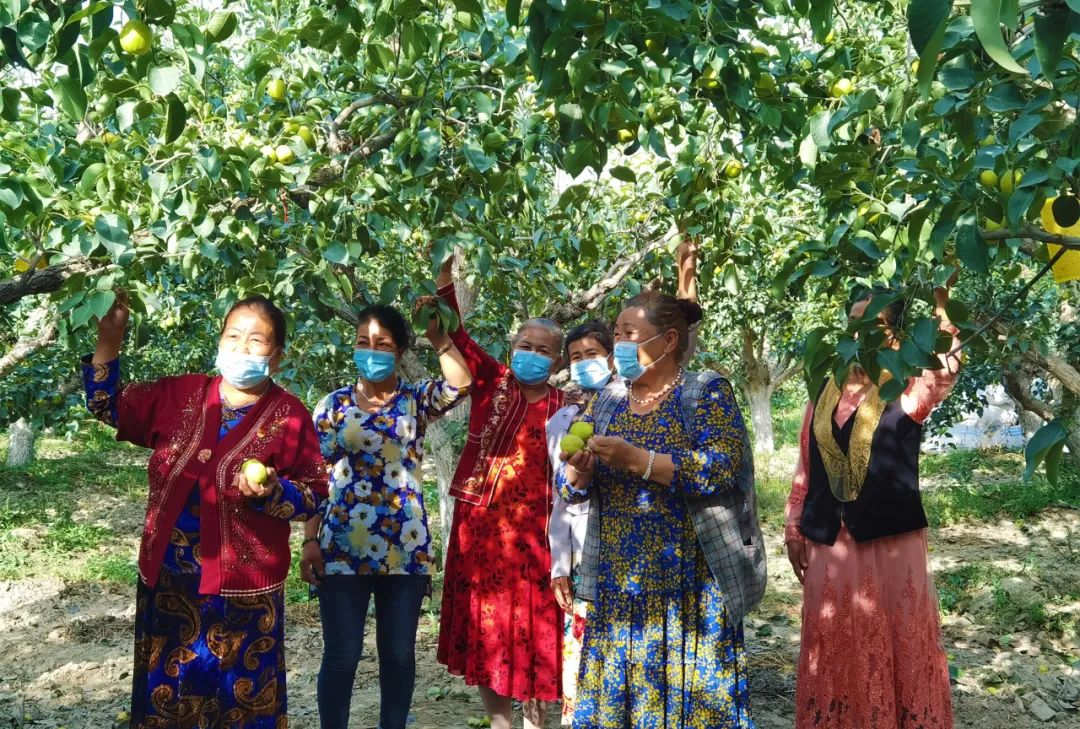 1632803811194186.jpg ia_200000004.jpg