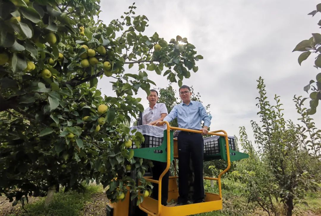 1632803939459252.jpg ia_200000880.jpg