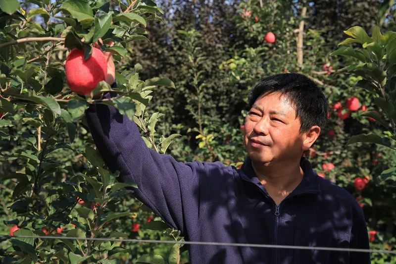 1632806599405392.jpg ia_400001179.jpg