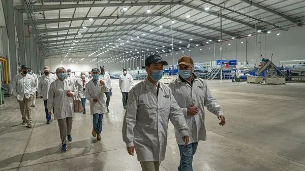 1633666954813365.jpg ia_300000006.jpg