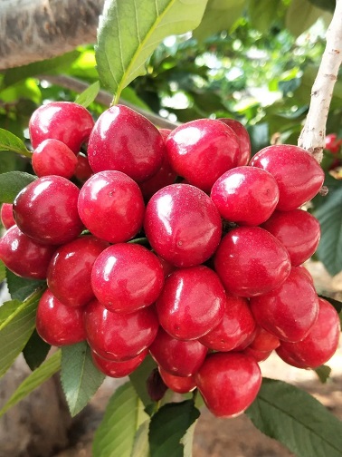 1634274605824010.jpg ia_100000018.jpg