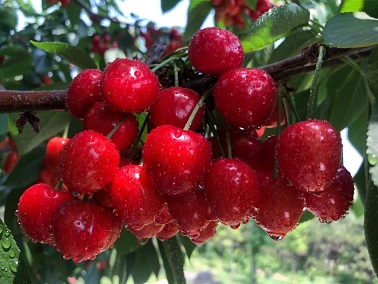 1634274768269266.jpg ia_100001267.jpg