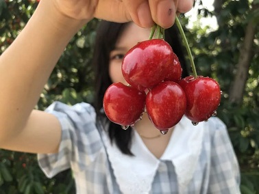 1634274772469608.jpg ia_100001268.jpg