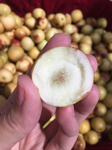 1634274865509933.jpg ia_100001272.jpg