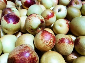 1634274869423388.jpg ia_100001269.jpg