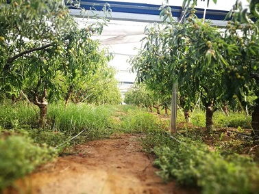 1634274916495162.jpg ia_100001274.jpg