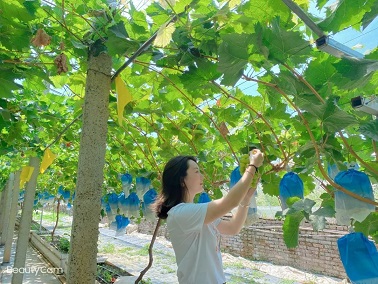 1634275022572606.jpg ia_100001275.jpg