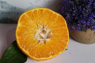 1634275445159944.jpg ia_100001281.jpg