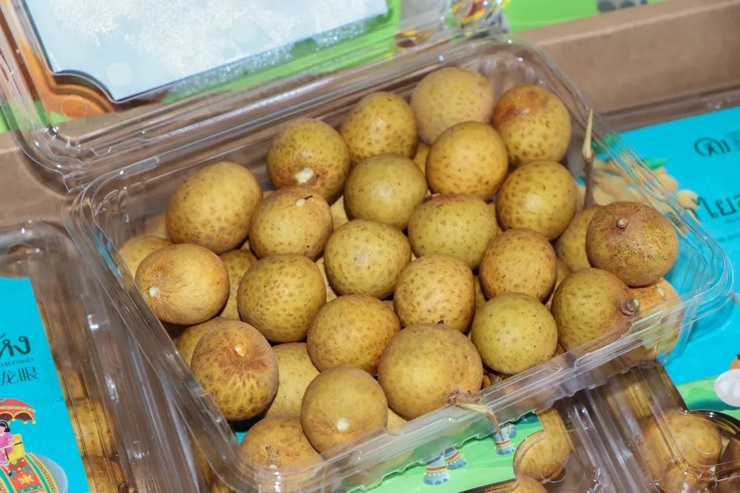 1634780735723368.jpg ia_200001412.jpg