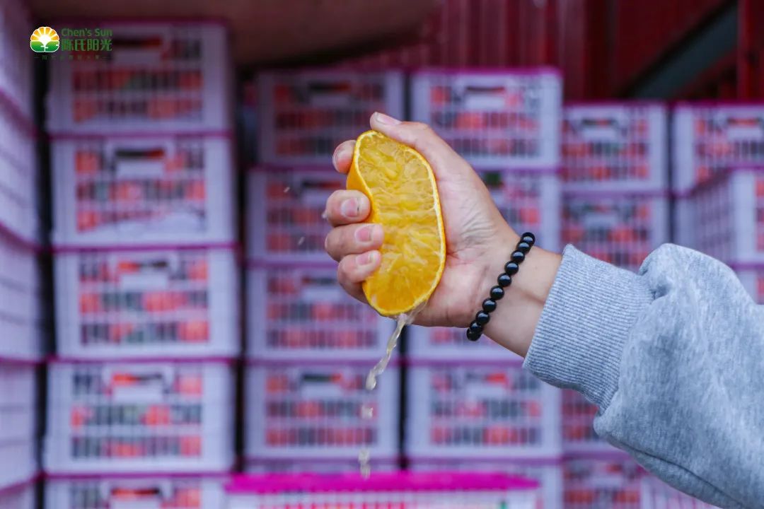 1634780768396397.jpg ia_200001409.jpg