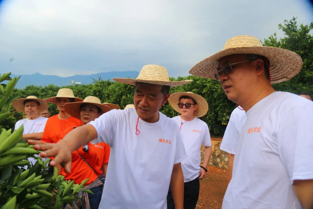 1634792256324044.jpg ia_300000481.jpg